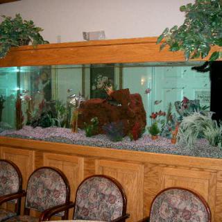 An indoor waiting area featuring a large fish tank and a row of chairs.
