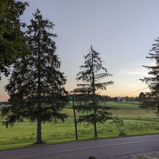 A serene view of a grassy field framed by tall trees during sunset.
