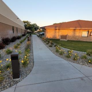 A scenic pathway lined with flowers leading to a residential building during sunset.