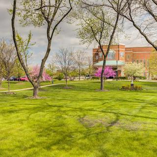 A scenic park with lush green grass and blooming trees, featuring a brick building in the background.