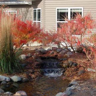 A small garden pond with a waterfall surrounded by autumn foliage and shrubs.