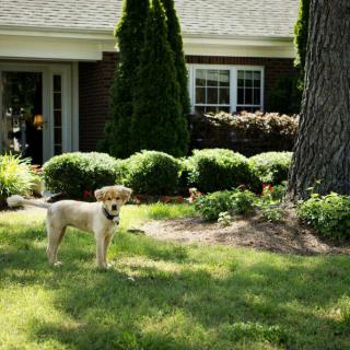 Cypress Glen Retirement Community