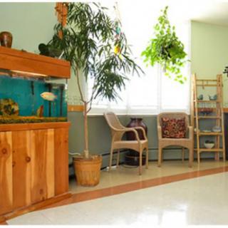 A cozy waiting room featuring an aquarium, wicker chairs, and lush plants.