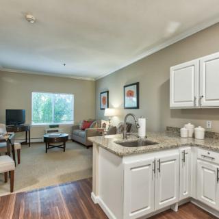 A cozy living room with an adjoining kitchenette, featuring modern furniture and soft lighting.