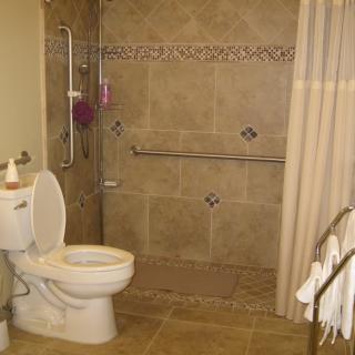 An accessible bathroom with a toilet and a shower featuring handrails.