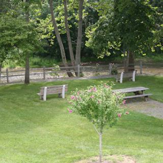 A serene park setting with benches, trees, and a manicured lawn.
