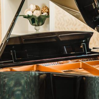 A grand piano in a well-decorated room.