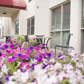 A charming patio area with vibrant flowers and outdoor seating.