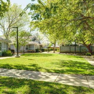 A peaceful courtyard with lush greenery and surrounding buildings.