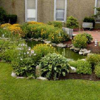 Woodhaven Adult Home