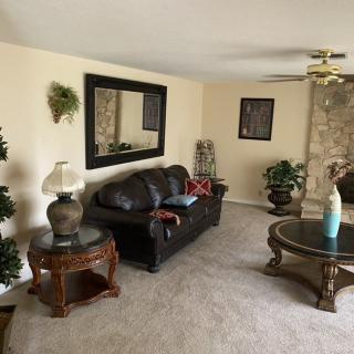 A cozy living room with a leather sofa, glass coffee table, and decorative indoor plants.