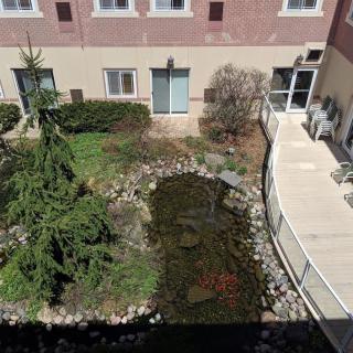 A serene garden landscape with a pond next to a building.