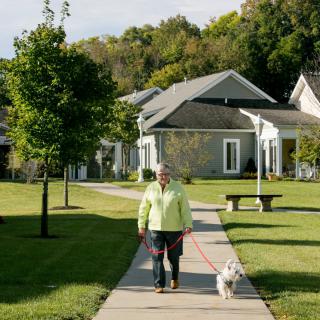 A person walking a dog on a sidewalk in a suburban neighborhood.