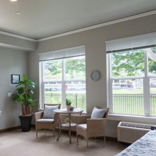 A bright living room with large windows, two chairs, a small table, and a potted plant.