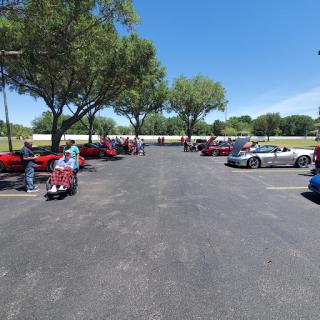 A vibrant car show featuring a variety of classic cars in a sunny outdoor setting.