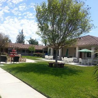 A sunny day in a well-maintained garden area with pathways, trees, and outdoor seating.