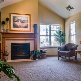 A cozy living room featuring a fireplace and an armchair, with natural light streaming through the windows and indoor plants adding a touch of greenery.
