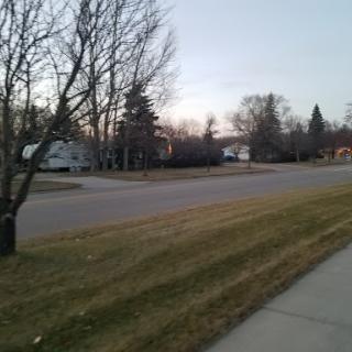 A quiet suburban street lined with trees, captured during the evening.