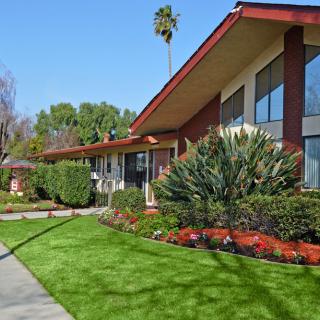 A well-maintained house with a lush garden and vibrant landscaping.