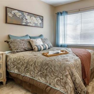 A cozy bedroom with elegant bedding and natural light streaming through the window.