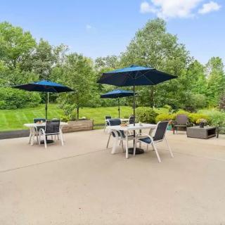 A sunny patio with tables, chairs, and umbrellas overlooking a lush garden.