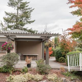 A serene garden setting featuring a pergola with outdoor seating amidst beautifully landscaped plants and an autumn-themed backdrop.