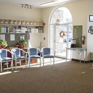 A bright and welcoming waiting room with blue chairs and a large window letting in natural light.