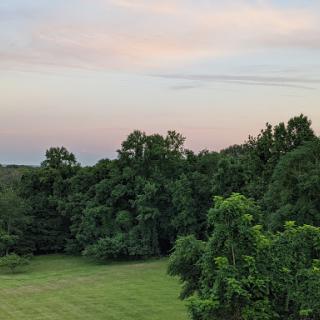 A serene view of lush greenery under a pastel sky at dusk.