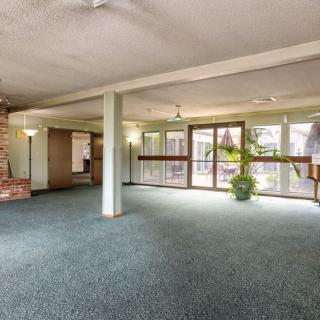 A spacious living room with carpeted floors, large windows allowing natural light, and a potted plant in the corner.