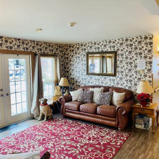A cozy living room with a brown sofa, patterned wallpaper, and red decorative rug.