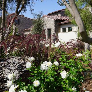 A charming house surrounded by a lush garden with vibrant flowers and trees.