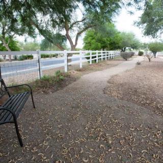 A peaceful outdoor scene with a bench next to a pathway lined with trees and a white fence.