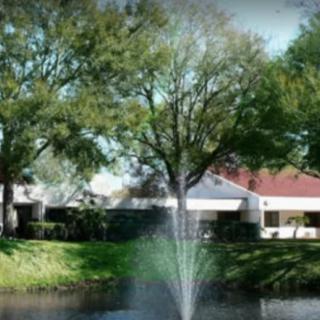 A serene view of a fountain in a pond with surrounding trees and buildings.