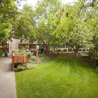 A lush garden featuring green lawns and mature trees, with a pathway leading through the serene outdoor space.