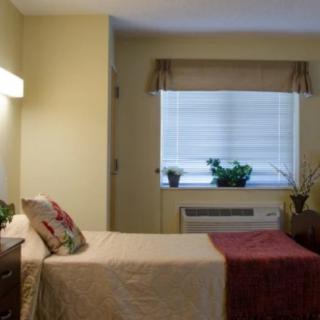 A cozy bedroom with minimalist decor, featuring a bed next to a window adorned with plants.
