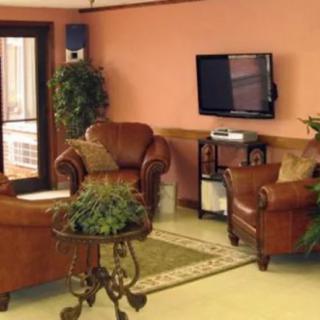 A cozy living room with leather chairs, a television, and indoor plants.