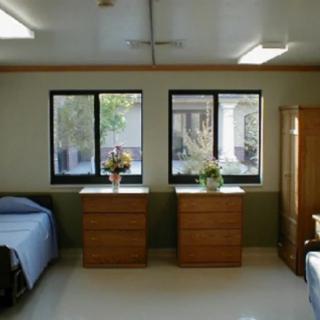 A simple dormitory room with two beds, dressers, and flowers on the windowsills.