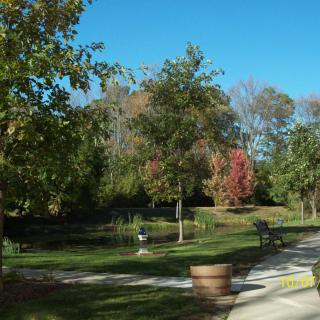 A serene park setting with a pathway surrounded by trees displaying autumn colors.