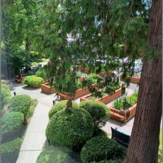A beautifully landscaped garden with neatly trimmed bushes and trees.