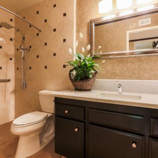 A stylish bathroom with a modern sink, toilet, and a decorative plant on the counter.