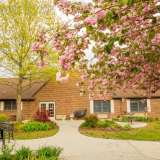 A charming residential building framed by blossoming trees and vibrant greenery in a serene spring setting.