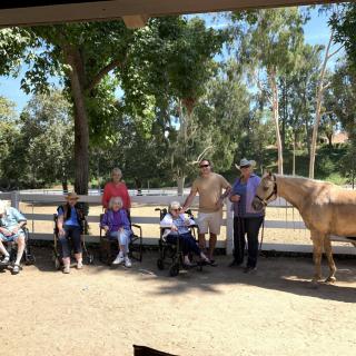A group of people enjoying a sunny day in the park with a horse.