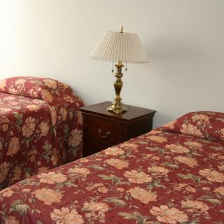 A bedroom with two beds featuring floral bedspreads and a lamp on a nightstand between them.