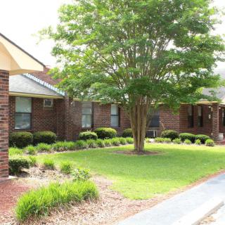 A brick house with a well-maintained front yard featuring a tree and landscaped greenery.