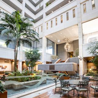 A modern hotel atrium with lush indoor greenery, a tranquil fountain, and comfortable seating arrangements.
