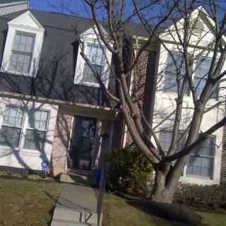 A suburban house with a tree in the front yard on a sunny day.