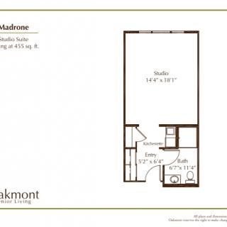 A floor plan of a studio apartment showcasing the layout and dimensions.