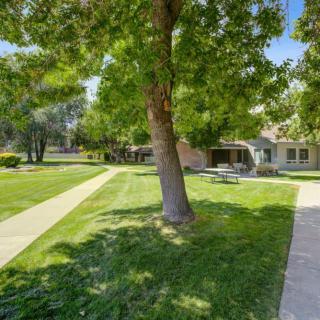 A sunny day in a park featuring lush green grass, trees, sidewalks, and nearby buildings.
