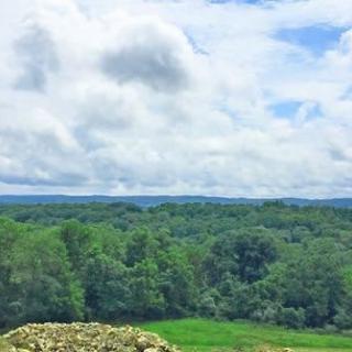A scenic view of a lush green forest under a cloudy sky.