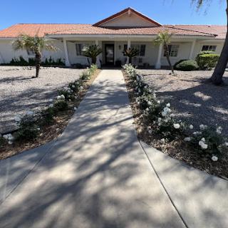 A welcoming residential home with a well-maintained garden and pathway leading to the entrance.